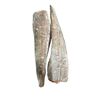Melussa fish (frozen) - image 1 | Omowest Afro Intercontinental Shop | KulturCart