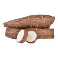 Fresh produce cassava - image 3 | OMOWEST AFRO INTERCONTINENTAL SHOP | KulturCart