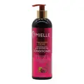 Mielle Pomegranate & Honey Moisturizing and Detangling Conditioner (355ml) - image 1 | Momjays Afro Markt | KulturCart