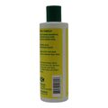 Lets Dred Conditioning Shampoo With Natural Oil (237ml) - image 4 | Afro Family Shop | KulturCart