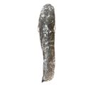 Catfish (frozen) - image 2 | Omowest Afro Intercontinental Shop | KulturCart