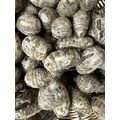 Coco Yam - image 1 | Omowest Afro Intercontinental Shop | KulturCart