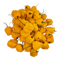 Fresh Pepper (Yellow) - image 4 | Malaika afro international Markt | KulturCart