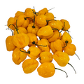 Fresh Pepper (Yellow) - image 8 | Malaika afro international Markt | KulturCart