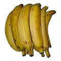 Fresh Plantain (Yellow) - image 2 | Momjays Afro Markt | KulturCart