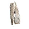 Melussa fish (frozen) - image 1 | Omowest Afro Intercontinental Shop | KulturCart