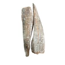 Melussa fish (frozen) - image 1 | Omowest Afro Intercontinental Shop | KulturCart