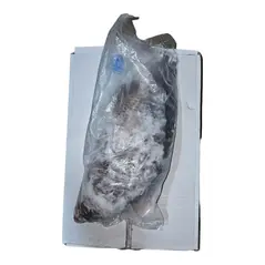 Tilapia (Black) - carton (4kg) - image 5 | Momjays Afro Markt | KulturCart