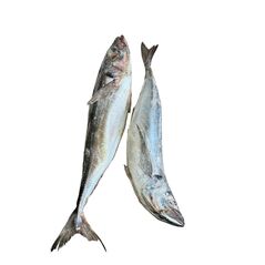 Horse Mackerel fish (3pcs) - image 2 | Omowest Afro Intercontinental Shop | KulturCart