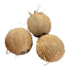 FRESH COCONUT - image 1 | Omowest Afro Intercontinental Shop