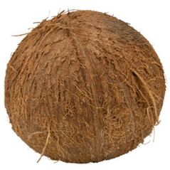 FRESH COCONUT - image 3 | Omowest Afro Intercontinental Shop