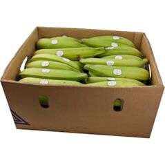 Fresh Plantain - Geen - image 1 | Omowest Afro Intercontinental Shop