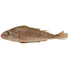 Yellow croaker per kilo - image 1 | Omowest Afro Intercontinental Shop | KulturCart