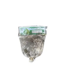Bitekuteku - image 1 | Omowest Afro Intercontinental Shop | KulturCart