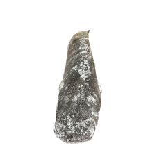 Catfish (frozen) - image 1 | Omowest Afro Intercontinental Shop | KulturCart