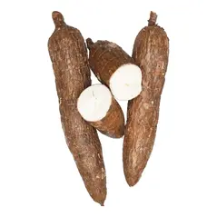 Fresh produce casava - image 7 | OMOWEST AFRO INTERCONTINENTAL SHOP