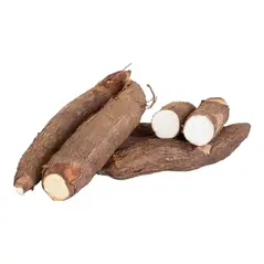 Fresh produce casava - image 4 | OMOWEST AFRO INTERCONTINENTAL SHOP