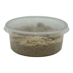 Egusi (powder) - image 3 | Afro Center & Afro Cut Krefeld | KulturCart