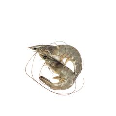 Whole Shrimps 2kg - image 1 | Omowest Afro Intercontinental Shop