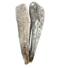 Melussa fish (frozen) - image 2 | Omowest Afro Intercontinental Shop | KulturCart
