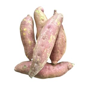 Sweet Potato (Fresh produce) - image 3 | Omowest Afro Intercontinental Shop | KulturCart