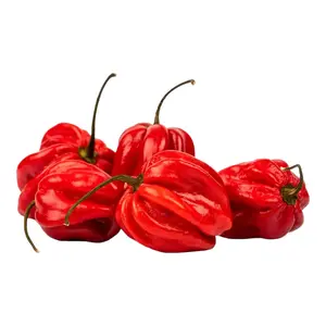 Fresh Pepper (Habanero Rot) - image 1 | OMOWEST AFRO INTERCONTINENTAL SHOP | KulturCart