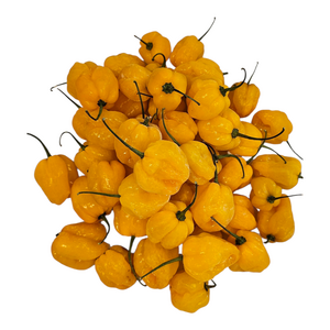 Yellow Pepper - image 3 | Malaika afro international Markt