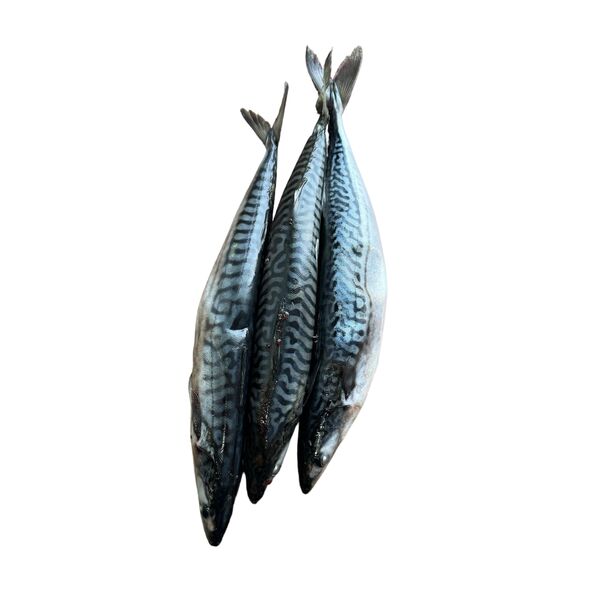 Mackerel Fish (3 pcs) - image 3 | Omowest Afro Intercontinental Shop | KulturCart