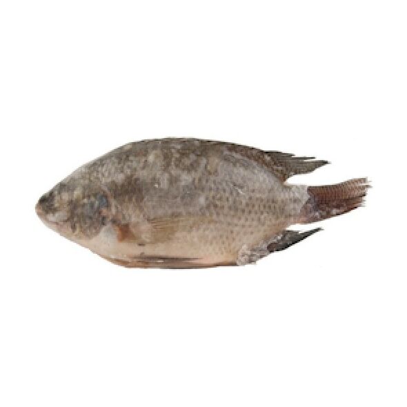 Tilapia - image 1 | Omowest Afro Intercontinental Shop | KulturCart