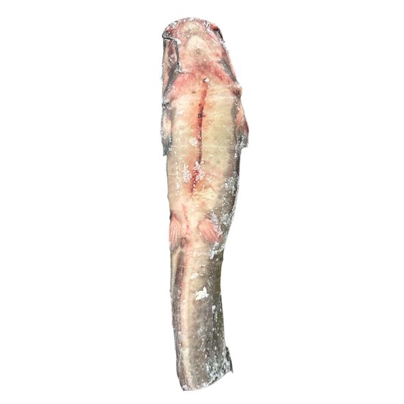 Catfish (frozen) - image 3 | Omowest Afro Intercontinental Shop | KulturCart