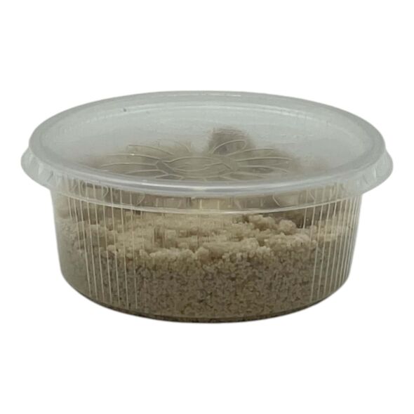 Egusi (powder) - image 3 | Afro Center & Afro Cut Krefeld | KulturCart