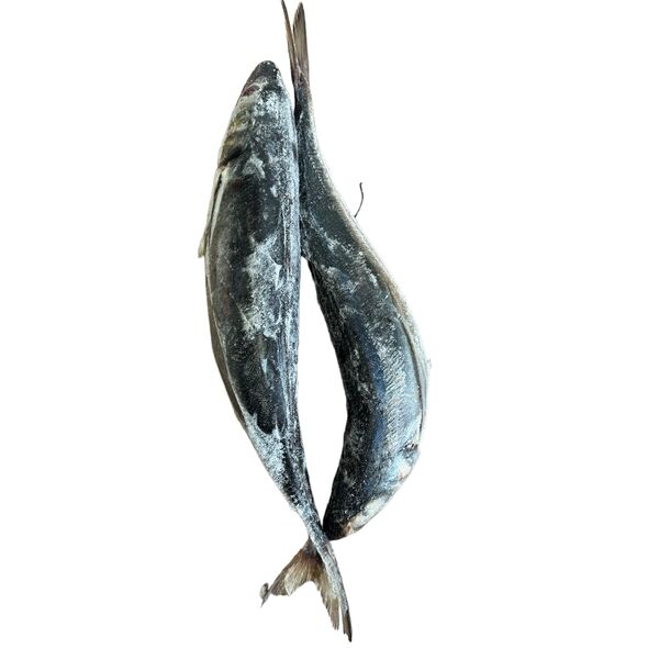 Horse Mackerel fish (3pcs) - image 3 | Omowest Afro Intercontinental Shop | KulturCart
