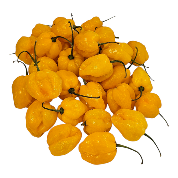 Fresh Pepper (Yellow) - image 8 | Malaika afro international Markt | KulturCart