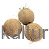 FRESH COCONUT - image 1 | Omowest Afro Intercontinental Shop | KulturCart