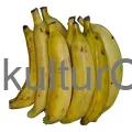 Fresh Plantain (Yellow) - image 3 | Momjays Afro Markt | KulturCart