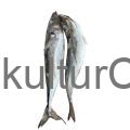 Horse Mackerel fish (3pcs) - image 1 | Omowest Afro Intercontinental Shop | KulturCart