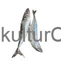 Horse Mackerel fish (3pcs) - image 2 | Omowest Afro Intercontinental Shop | KulturCart