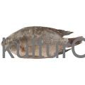 Tilapia - image 1 | Omowest Afro Intercontinental Shop | KulturCart