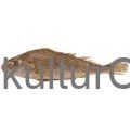 Yellow croaker per kilo - image 1 | Omowest Afro Intercontinental Shop | KulturCart