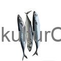 Half carton fish - image 1 | Omowest Afro Intercontinental Shop | KulturCart