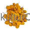 Fresh Pepper (Yellow) - image 3 | Malaika afro international Markt | KulturCart