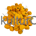 Fresh Pepper (Yellow) - image 4 | Malaika afro international Markt | KulturCart