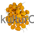 Fresh Pepper (Yellow) - image 7 | Malaika afro international Markt | KulturCart