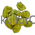 Fresh Pepper (Green) - image 4 | Malaika afro international Markt | KulturCart