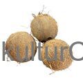 FRESH COCONUT - image 1 | Omowest Afro Intercontinental Shop | KulturCart