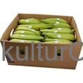 Fresh Plantain - Green - image 1 | Omowest Afro Intercontinental Shop | KulturCart