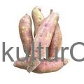 Sweet Potato (Fresh produce) - image 3 | Omowest Afro Intercontinental Shop | KulturCart