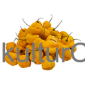 Fresh Pepper (Yellow) - image 2 | Malaika afro international Markt | KulturCart