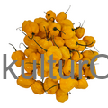 Fresh Pepper (Yellow) - image 3 | Malaika afro international Markt | KulturCart