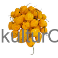 Fresh Pepper (Yellow) - image 5 | Malaika afro international Markt | KulturCart